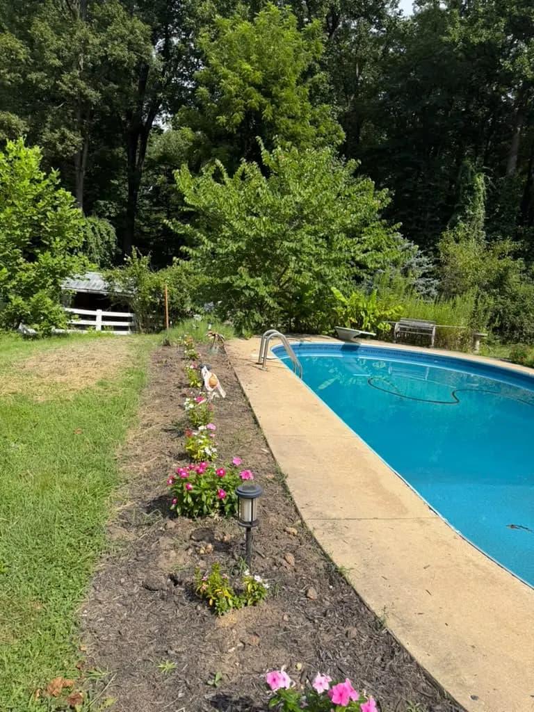 New flower bed planted along the edge of a backyard pool